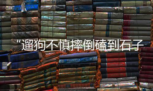 上海菜市场卖黄沙蚬、上海水泥黄沙配送中心、黄沙水泥垃圾清运 上海、上海供应黄沙袋装厂家
