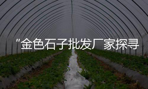 兰花石子批发、佛山水磨石子批发、成都水磨石石子市场批发、南通石子批发商店地址