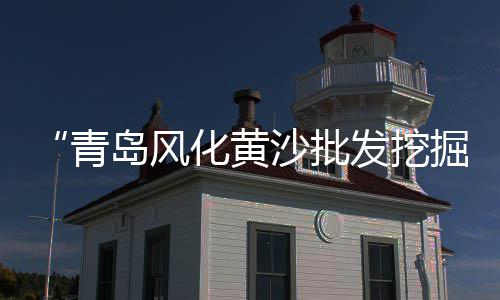 上海青浦区黄沙运输、上海出售小黄沙、上海黄沙水泥宝山、上海石子黄沙配送