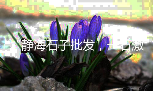 清远散装水泥批发、成武水泥销售批发、乌洋水泥批发、肥东批发水泥