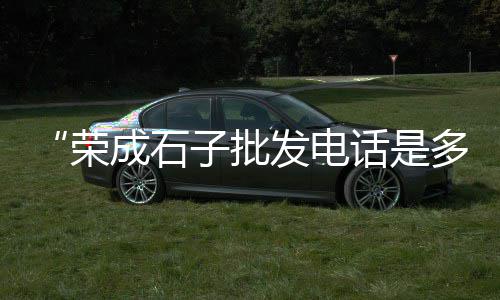 广州黄沙市场大青龙价格、黄沙市场希鲮鱼、黄沙市场黑金鲍、黄沙市场都成