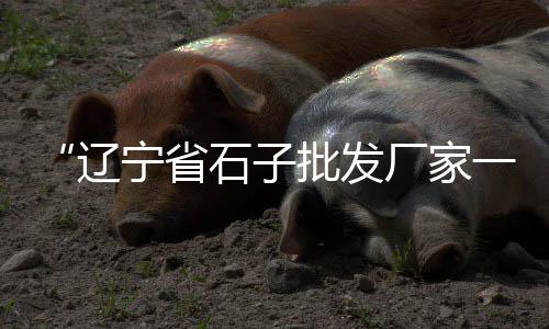 芜湖黄沙的价格、徐州东区水泥黄沙价格多少、海南黄沙烘干机价格、周庄水泥黄沙石子价格