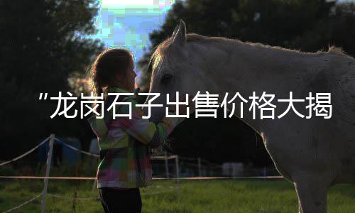 黄沙石子价格 最新、江西老爷庙黄沙价格、西安黄沙价格是多少、黄沙石子石粉价格