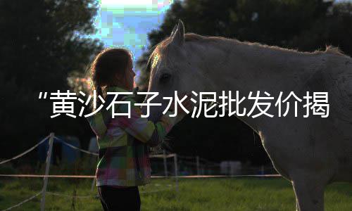 上海水泥制管模具定制、上海水泥添加剂价格多少、上海水泥集成井厂家电话、上海水泥花砖加工厂家
