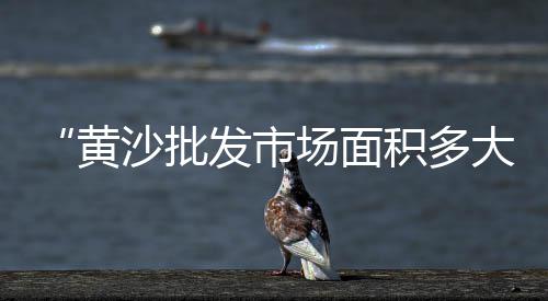 徐州最新石子价格、台江石子价格、户外石子价格、贵溪石子价格