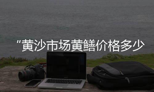 黄沙批发价格淮河、丹徒水泥黄沙批发、工地批发黄沙、黄沙港海鲜 批发