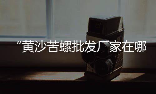 辽宁屋顶水泥毯批发市场、民营企业水泥市场分析、坦桑尼亚水泥贸易市场、新昌黄沙水泥批发市场
