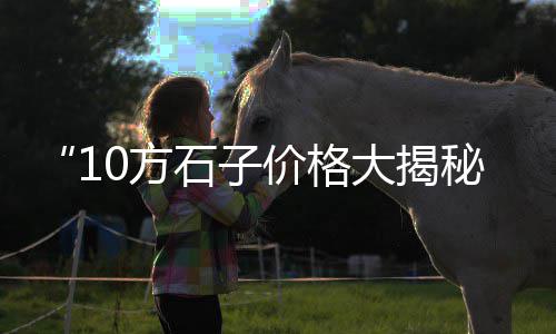 黄色水洗石石子价格、虎丘区正宗石子价格多少、虹口区绿色石子仓价格、崇川区碎石子采购价格