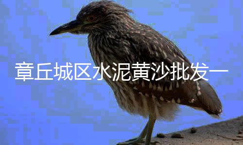 上海承包石子厂家有哪些、上海铲车石子厂上料、上海路面石子扫地车、上海原厂钩石子神器