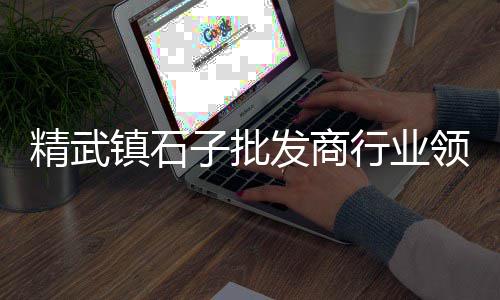 泰州黄沙石子水泥批发、透水小石子批发、哈尔滨石子批发公司、广东石子批发