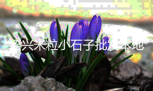 户县石子批发公司、上海白色石子批发、焦作园艺石子批发、石子馍批发基地