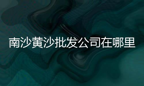 上海港石子报价价格、46石子上海哪里有md买的、上海石子路中医院怎么样、上海景观石子批发价格