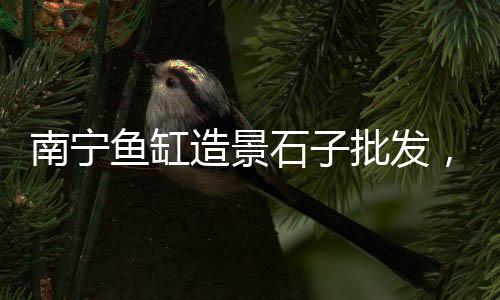 上海标准黄沙订购、上海浦东新区黄沙滩房价、上海黄沙供应链招聘网、上海水泥黄沙搬运价格多少