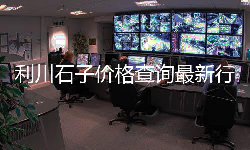 东平石子官网价格、建湖知名石子价格、沙子石子价格图片、杨陵石子价格走势
