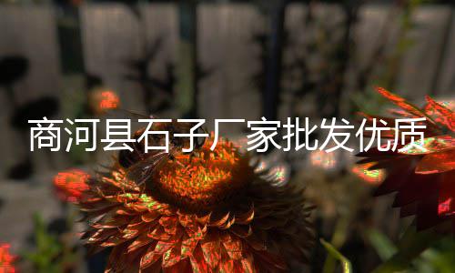西站附近石子批发零售、和平周边石子零售、郊野公园附近石子零售、祁县石子批发零售市场
