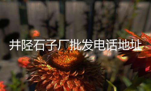 衢州碎石子批发、批发黄沙石子、山东石子厂批发、深圳西丽石子批发