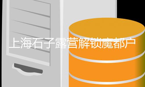衡水石子零售、零售水泥沙子石子、南河石子零售商、青光镇石子零售店