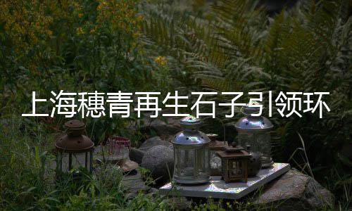 仪征黄沙水泥批发零售、黄沙配送批发、宝山黄沙批发、精品黄沙批发