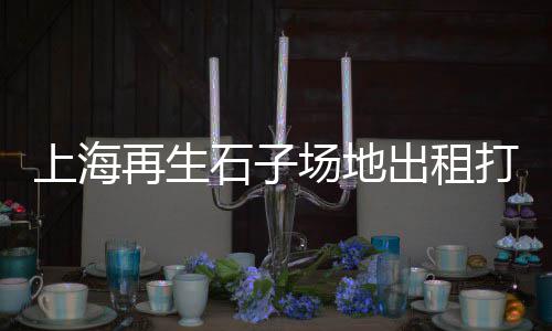 夜光石子批发厂家、唐山各种石子批发、内蒙石子批发厂家、假山石子批发