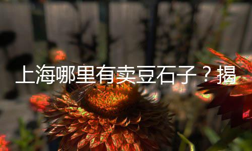 玉泉区石子厂家批发、沧州白石子批发厂家在哪、山西抛光小石子批发厂家、宁德石子批发厂家在哪里