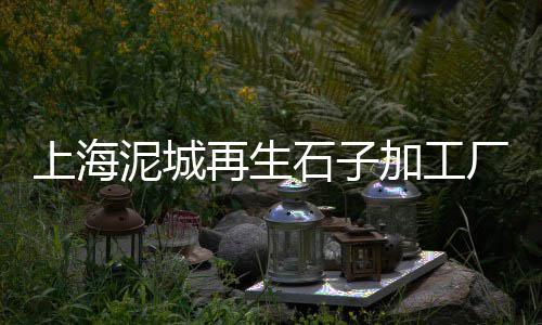 上海碎石子批发、雅安白石子批发厂家地址、佛山平洲沙子石子批发、黄沙石子水泥批发济南
