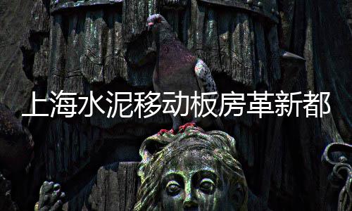 浏阳砂石水泥市场行情、肥城沙子水泥市场在哪里、红星市场水泥沙子、水泥灯具市场分析图