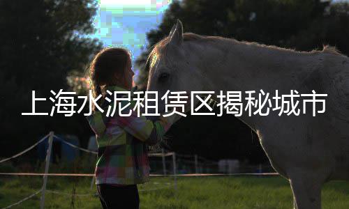 上海黄沙石子码头企业、江西的黄沙运到上海、上海松江区水泥黄沙、上海宝山去哪买黄沙