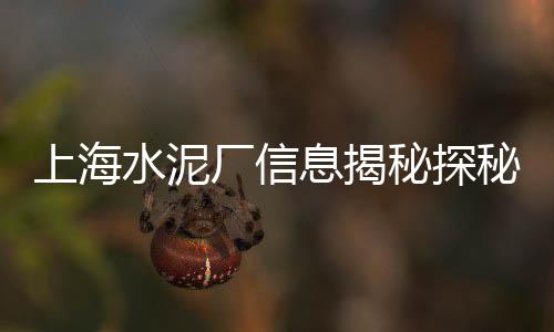 水泥房价格是多少、预应力水泥立柱价格计算、潍坊水泥荷兰砖价格多少、湖南的水泥价格行情