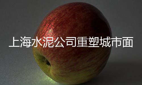 上海水泥假山在哪买的到、上海水泥瓦哪家好用又便宜、上海水泥破败风机厂家有哪些、上海水泥路面起皮修补料