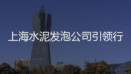 库尔勒水泥厂市场电话、阳朔水泥市场价格多少、河南水泥市场需求偏疲软、福州批发沙石水泥砖市场