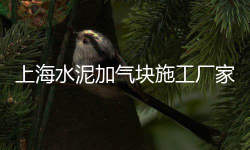 孝感沙子水泥批发零售、新疆水泥彩瓦零售、油坊街水泥零售公司、声威水泥袋子零售