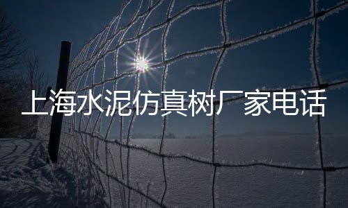 淮南零售水泥厂家有哪些、内蒙水泥路沿石零售、合阳沙子水泥零售店、齐老沙子水泥批发零售