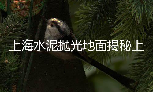 上海石子水洗机厂家电话、上海卖水磨石石子、上海小颗粒沥青石子、上海求购高标石子厂家地址