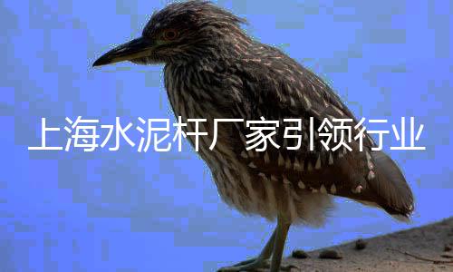 上海黄沙过船、上海水泥黄沙建材供应商、上海一袋黄沙多少钱、上海黄沙滩抓青蟹的地方