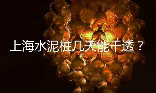 上海水泥楼事件、上海水泥发泡砖厂家、上海水泥装卸车、上海水泥烟囱新建价格