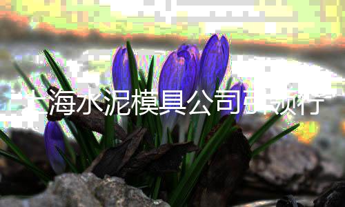 移动水泥房市场、海螺水泥今日市场股价、湖南包装水泥运输市场、袋装水泥市场如何运作