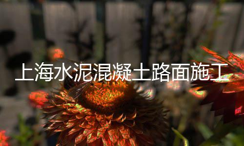 批发水泥视频、天津建材水泥批发、佛山微水泥批发、重庆码头水泥批发