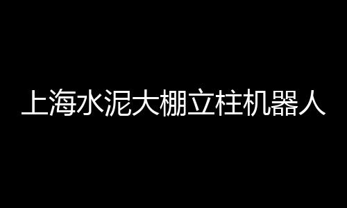 上海 水泥黄沙、上海奉贤区黄沙石子、上海青浦可以拉黄沙吗、黄沙水泥砖销售上海店铺