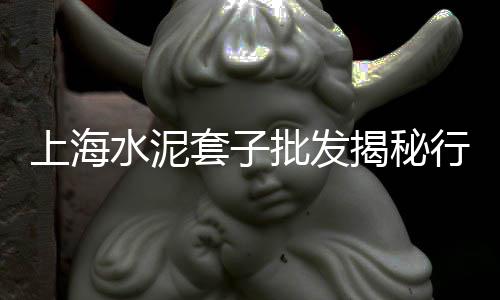 靖江水泥市场价位、水泥市场秩序、重庆忠县水泥市场、袋装水泥退出市场
