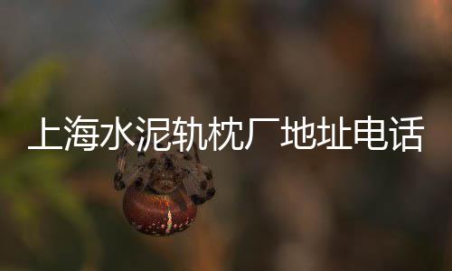 太原市零售水泥、叶县哪里零售水泥的多、遵义水泥零售电话号码、太仓525水泥零售点