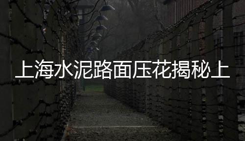 上海清扫石子扫地机、上海干挂石子批发厂家、上海建筑材料 白石子、上海石子破碎机出售