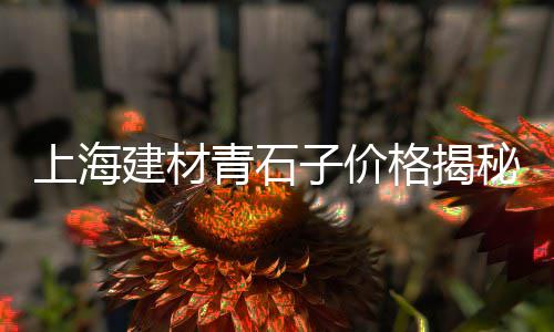 徐州本地水泥价格、承插水泥管直销价格、水泥搅拌机价格大概是多少、nl系列污水泥浆泵价格