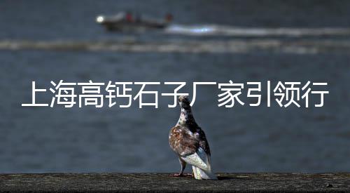 天津汉沽石子零售、濮阳石子零售地址查询、宁波周边沙子石子零售、洛阳石子零售电话地址