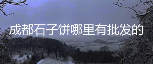 大张庄镇石子零售部在哪、周边石子零售配送、沙石子批发零售、淄博石子零售电话