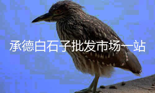 宁阳县石子厂家批发、各种永顺石子批发、白石子大袋批发、小石子批发武汉