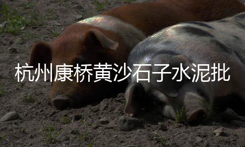 在上海卖石子馍赚钱吗、上海石子蛋糕店有哪些店、上海回收大石子的地方有哪些、上海石子一吨多少钱