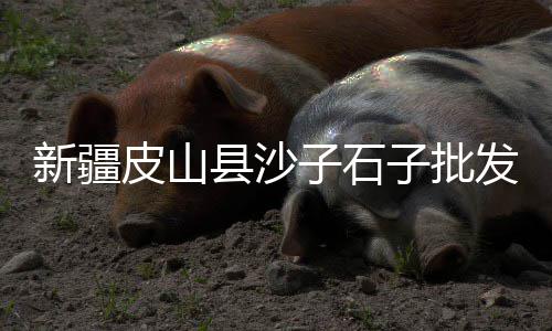 石子黄砂价格文本图、烧石灰的石子价格、淳安建筑青石子价格、定州粉色胶粘石子价格