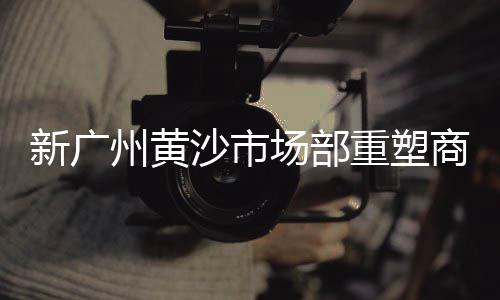 佛山染色七彩石子批发市场、衡水灰石子批发市场在哪、吉林小石子批发市场在哪、清河城沙子石子批发市场