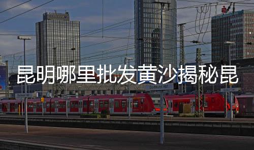 黄沙水产零售电话地址、黄沙水泥零售怎么销售、荔湾黄沙零售哪家好点、常熟哪里零售黄沙便宜