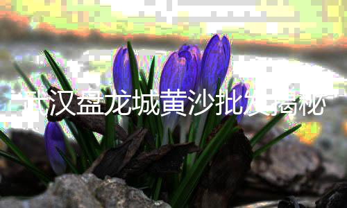 上海出售黄沙红砖、上海水泥 黄沙码头、上海网上购买水泥黄沙、上海运黄沙的船